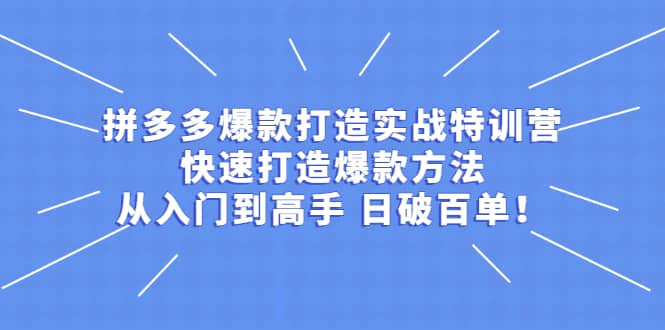 拼多多爆款打造实战特训营：快速打造爆款方法，从入门到高手 日破百单创客之家-网创项目资源站-副业项目-创业项目-搞钱项目创客之家