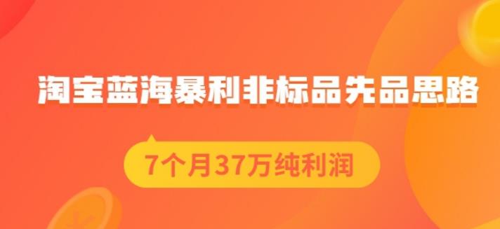 盗坤淘宝蓝海暴利非标品先品思路，7个月37万纯利润，压箱干货分享！【付费文章】创客之家-网创项目资源站-副业项目-创业项目-搞钱项目创客之家