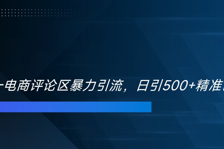 双十一电商评论区暴力引流，日引500+精准创业粉！！！创客之家-网创项目资源站-副业项目-创业项目-搞钱项目创客之家