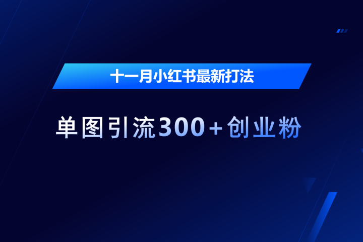 十一月，小红书最新打法，单图引流300+创业粉创客之家-网创项目资源站-副业项目-创业项目-搞钱项目创客之家