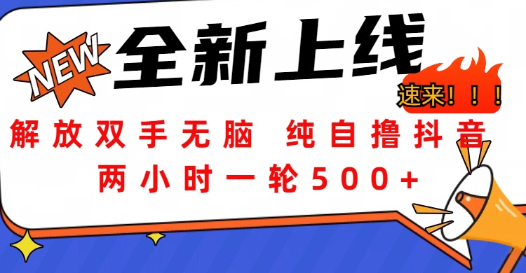 解放双手无脑 纯自撸抖音 两小时一轮500+创客之家-网创项目资源站-副业项目-创业项目-搞钱项目创客之家