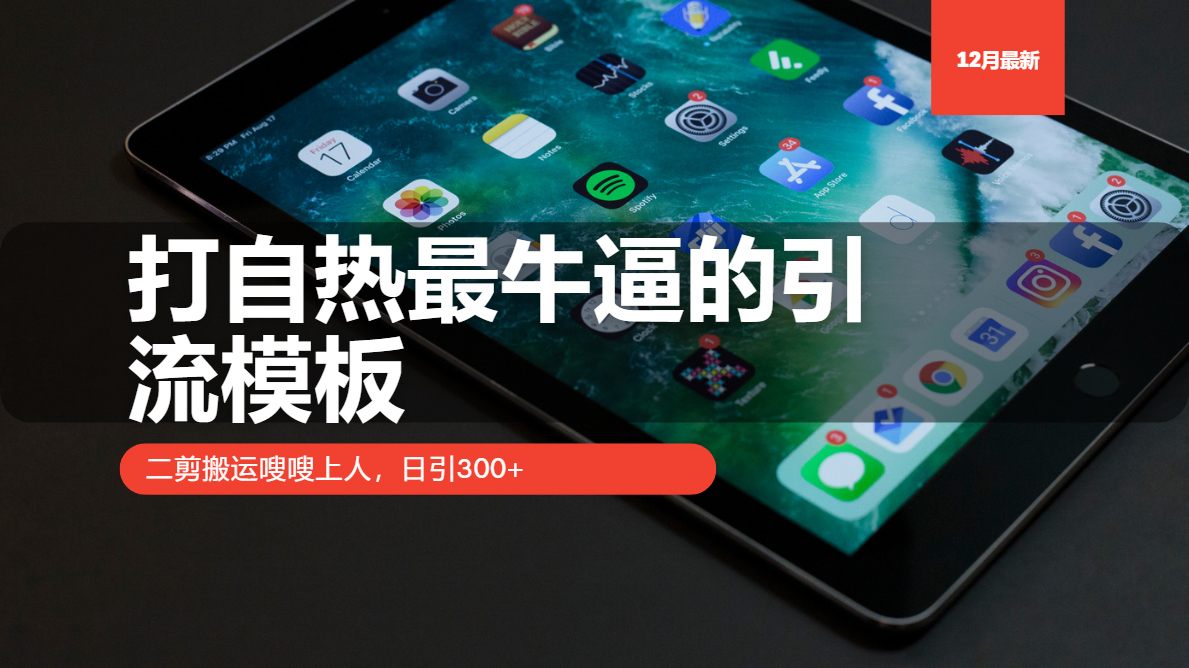 打自热最牛逼的引流模板，日引300+，二剪搬运嗖嗖上人创客之家-网创项目资源站-副业项目-创业项目-搞钱项目创客之家